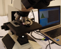 エバ・ジャパンの顕微鏡型スペクトルイメージングシステム